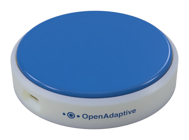 The switch itself: a round white case with a blue button lid